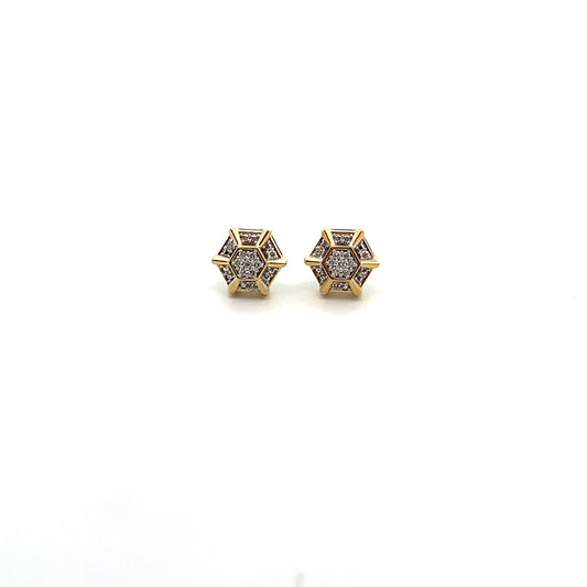 D-0.10CTW LAB DIAMOND LGD STUD EARRINGS WITH SGP HEXAGONAL