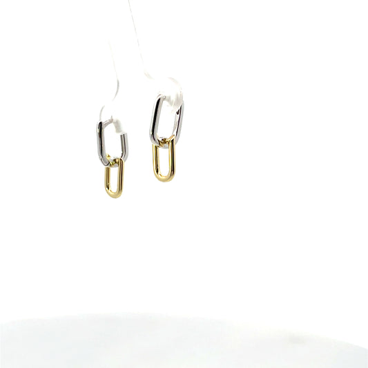2 LINK MIX EARRINGS